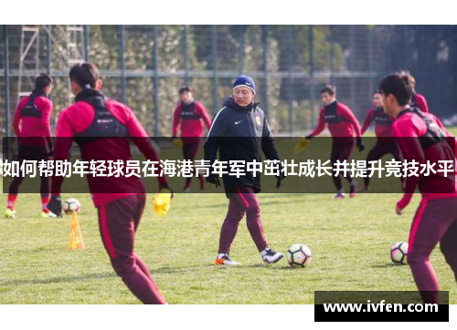 如何帮助年轻球员在海港青年军中茁壮成长并提升竞技水平