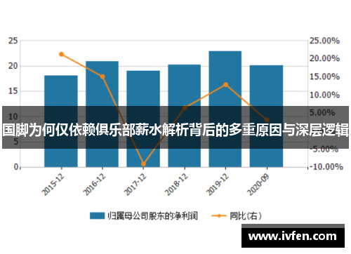国脚为何仅依赖俱乐部薪水解析背后的多重原因与深层逻辑