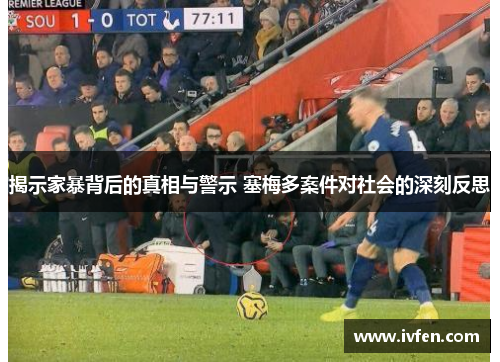 揭示家暴背后的真相与警示 塞梅多案件对社会的深刻反思